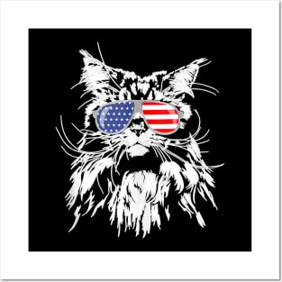 Funny Proud Maine Coon American Flag Sunglasses Gift Big Cat Posters and Art